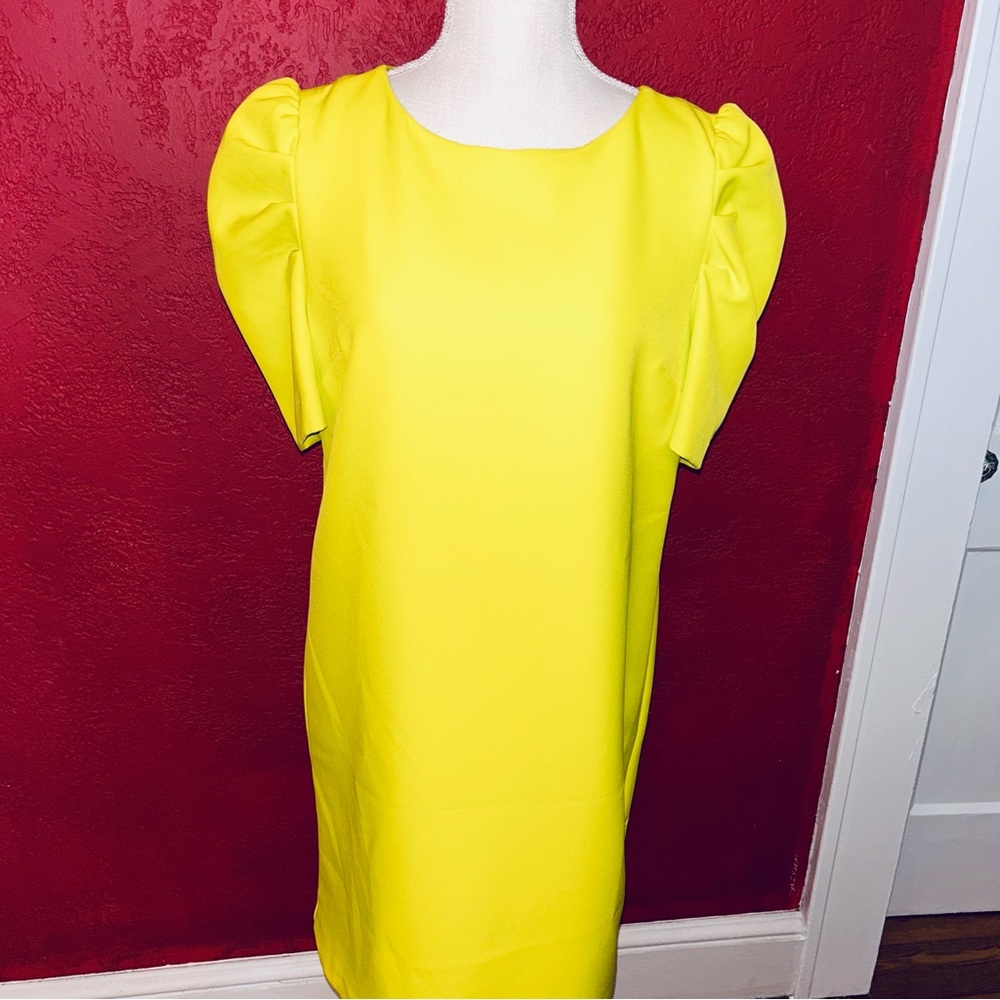 Womens bright lime green yellowish tint dress size 2 by Anna Cate NWT